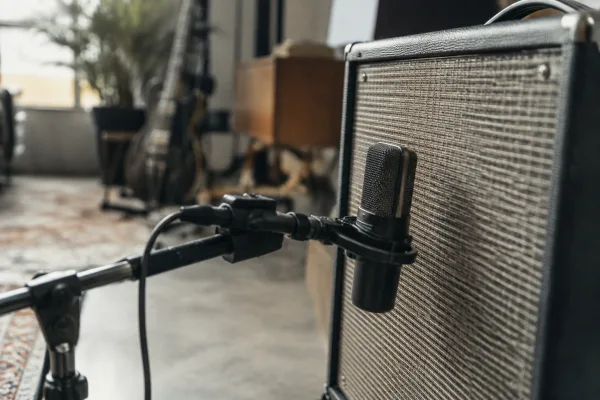 Case Mic: A Complete Buyer's Guide