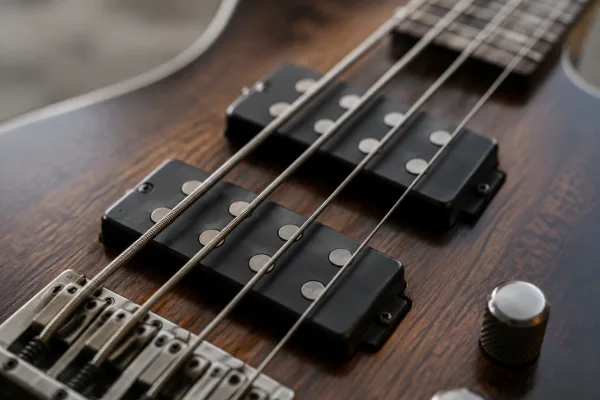 Bass With Humbucker Pickups for Beginners: A Complete Guide