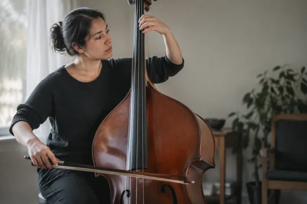 Upright Bass Bow for Beginners: A Complete Guide