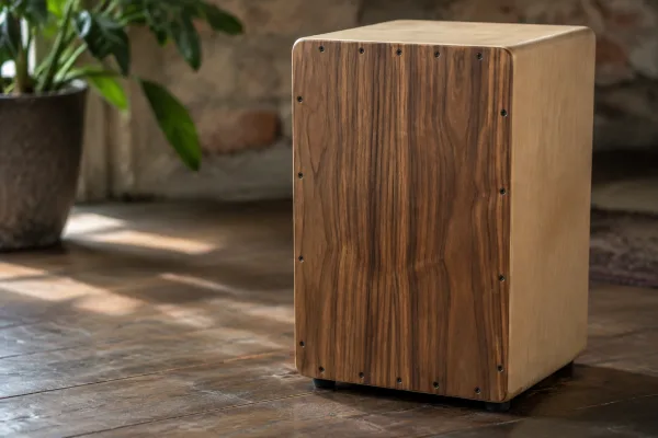 Cajon Meinl: A Complete Buyer's Guide