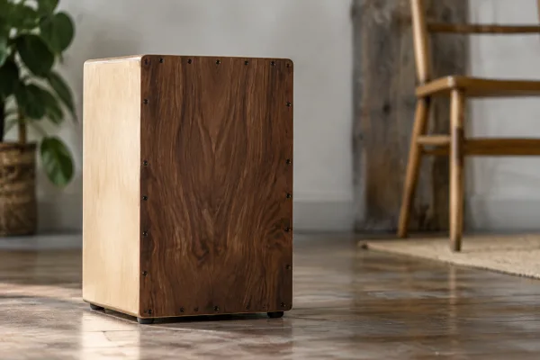 Cajon Meinl for Beginners: A Complete Guide