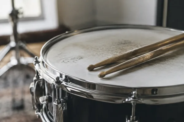 Snare Head: A Complete Buyer's Guide