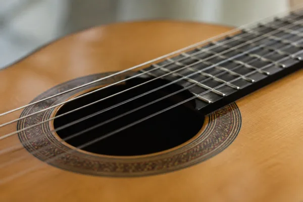 Taylor Nylon Strings for Beginners: A Complete Guide
