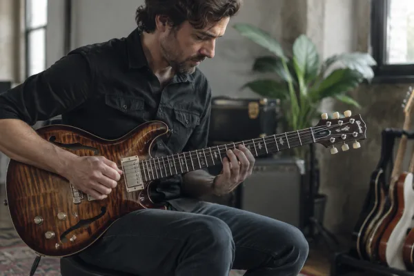 Prs Semi Hollow Guitar: A Complete Buyer's Guide