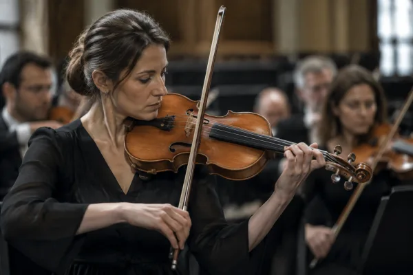 Large Violin: A Complete Buyer's Guide