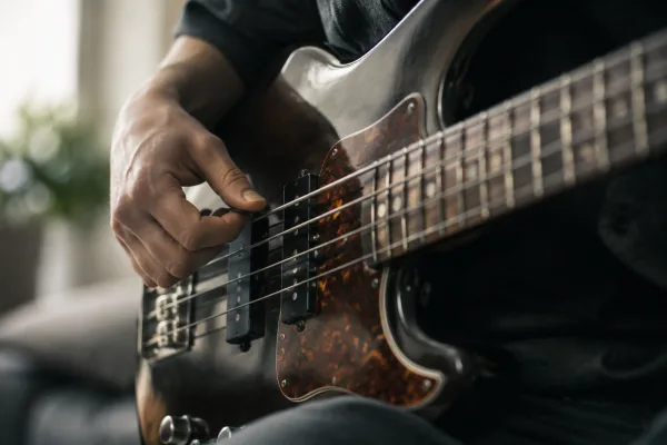 Pick Bass: A Complete Buyer's Guide