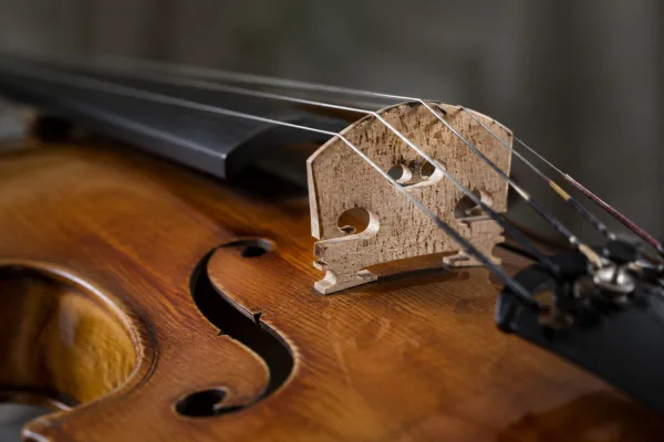 Bridge Violin: A Complete Buyer's Guide