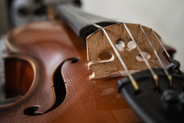 Bridge Violin for Beginners: A Complete Guide