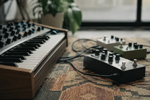 Synthesizer Bass Pedal: A Complete Buyer's Guide