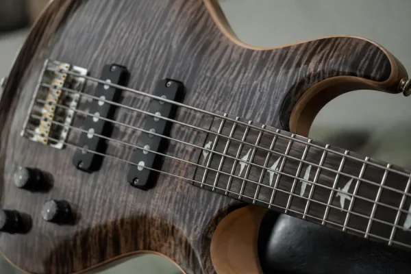 Prs Bass: A Complete Buyer's Guide