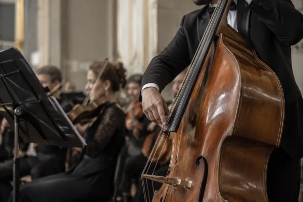 Stand Bass Guitar: A Complete Buyer's Guide