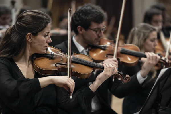 Full Size Violin for Beginners: A Complete Guide