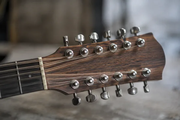 Taylor 12 String Guitars: A Complete Buyer's Guide