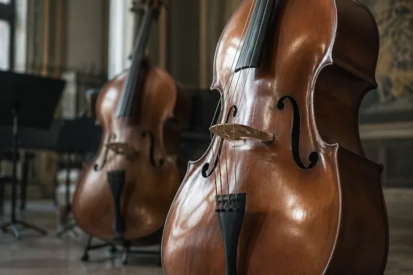 Bass Cello for Beginners: A Complete Guide
