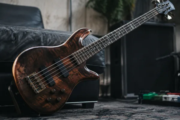 Spector Bass: A Complete Buyer's Guide