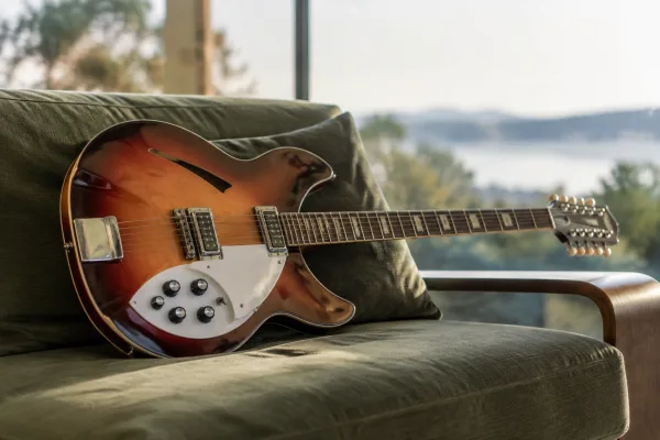 12 String Rickenbacker for Beginners: A Complete Guide