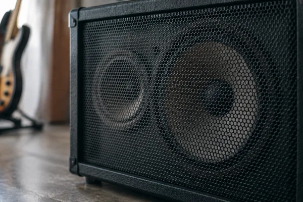 Amp Voice: A Complete Buyer's Guide