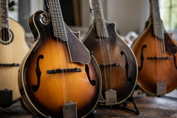 Mandolin Guitars: A Complete Buyer's Guide