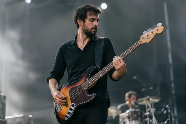 Hollow Body Electric Bass for Beginners: A Complete Guide