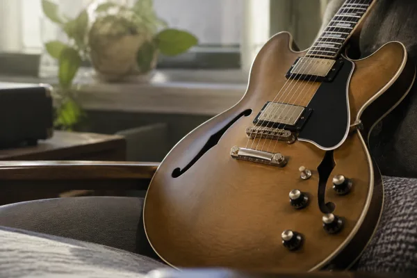 Semi Hollow Guitar Body: A Complete Buyer's Guide