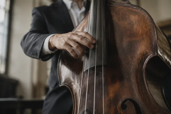 Upright Bass Strings: A Complete Buyer's Guide