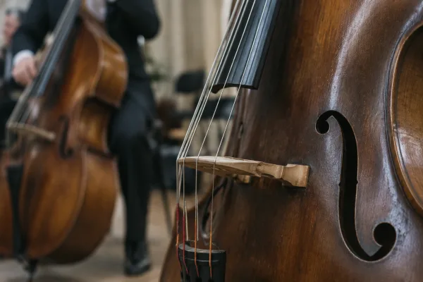 Upright Bass Strings for Beginners: A Complete Guide