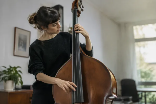 Stand Up Bass Strings for Beginners: A Complete Guide