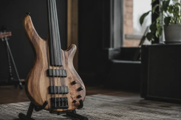 5 String Fretless: A Complete Buyer's Guide