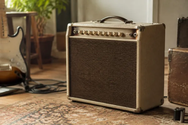 Ibanez Tube: A Complete Buyer's Guide