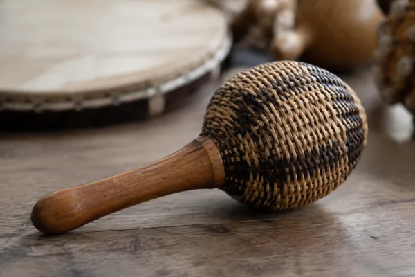 Shaker Instrument for Beginners: A Complete Guide