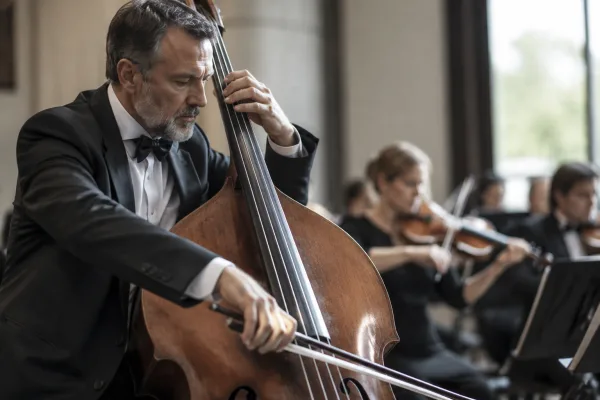 Electric Double Bass: A Complete Buyer's Guide