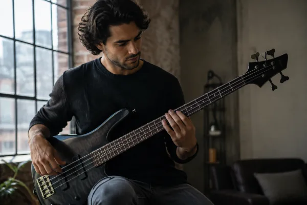 Bass Guitar Schecter: A Complete Buyer's Guide