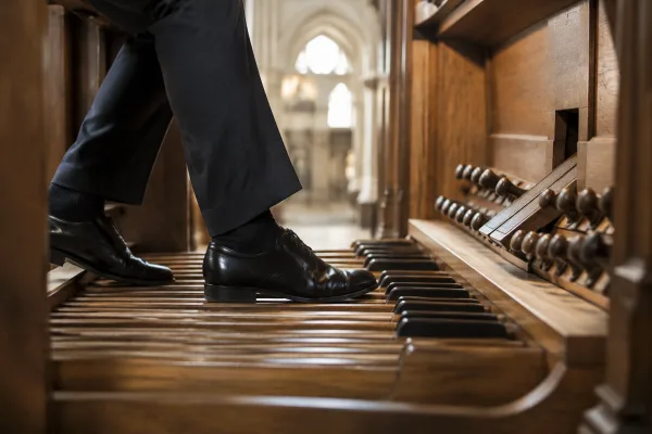 Pedal Keyboard for Beginners: A Complete Guide