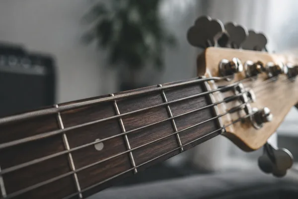 5 String Bass Fender for Beginners: A Complete Guide