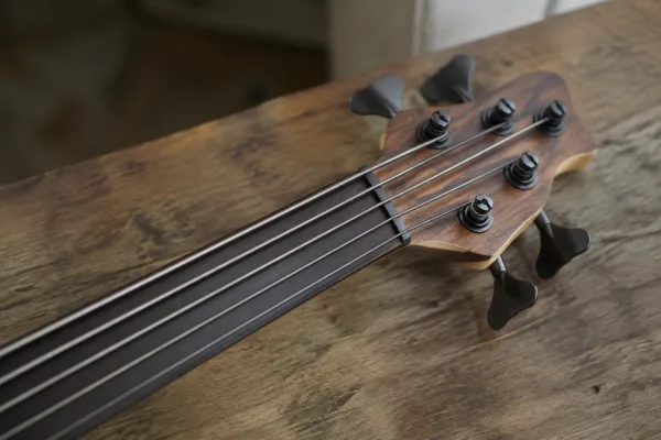 The Ultimate Guide to 5 String Fretless Bass