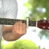 How a Capo Works: Pitch, Chord Shapes and Using One