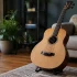 Acoustic Bass Guitar Explained: Features, Types and Tips