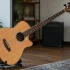 Acoustic Bass Guitar for Beginners: A Complete Guide