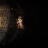 A Beginner's Guide to Disco Music