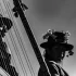 A Guide to Lap Harp