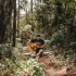 Taylor Acoustic Guitar Explained: Features, Types and Tips