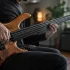 5 String Fretless for Beginners: A Complete Guide