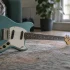 Fender Mustang for Beginners: A Complete Guide