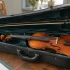 Stentor Music Co Ltd: A Complete Buyer's Guide