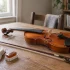 The Best Stentor Music Co Ltds for the Money