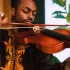 Viola Bow: A Complete Buyer's Guide