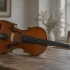 Eastman Violin: A Complete Guide