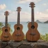 Lanikai Ukulele: A Complete Guide
