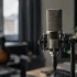 The Ultimate Guide to Austrian Audio Microphone