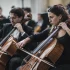Stand Up Bass vs Cello: Which Should You Choose?
